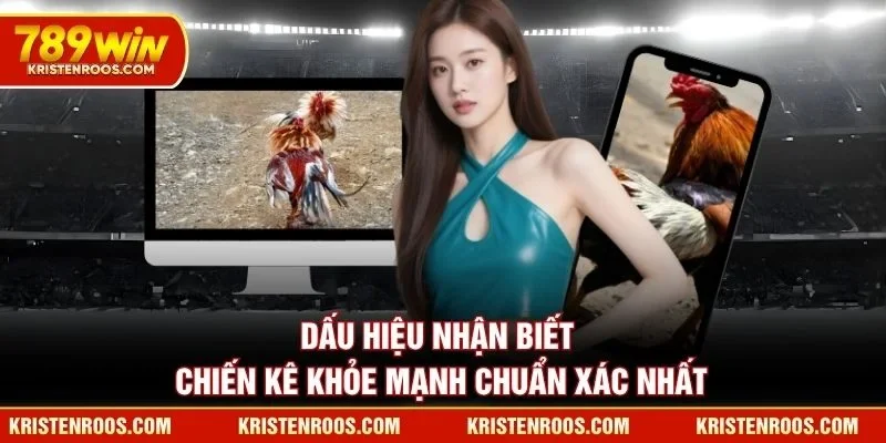 Dấu hiệu nhận biết chiến kê 789WIN khỏe mạnh chuẩn xác nhất