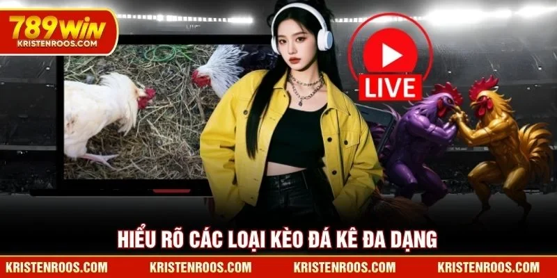 Hiểu rõ các loại kèo đá kê 789WIN đa dạng