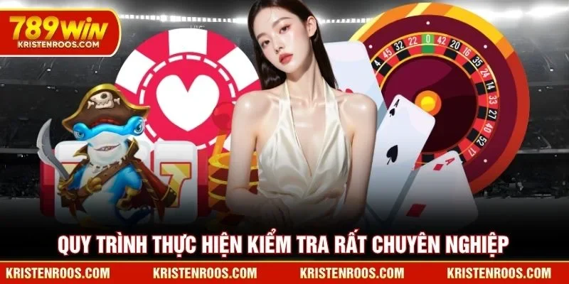 Quy trình thực hiện kiểm tra hệ thống 789WIN rất chuyên nghiệp